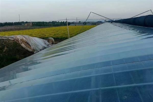 塑料膜的种类，分为防渗膜、土工膜、棚膜等类型