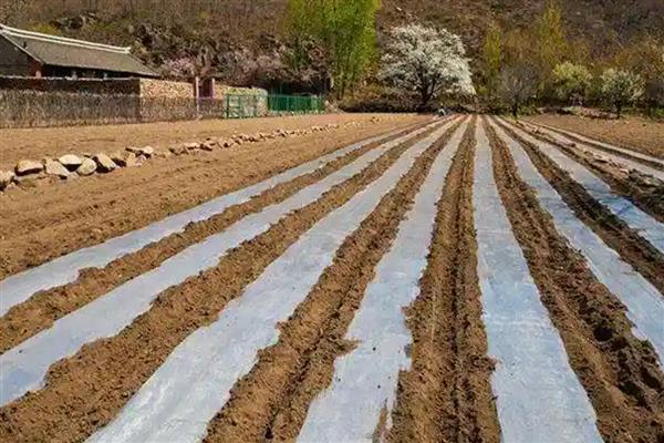 塑料膜的种类，分为防渗膜、土工膜、棚膜等类型