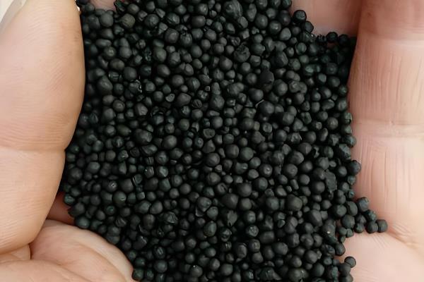 香雪兰的养殖方法,喜欢在湿润的气候下生长