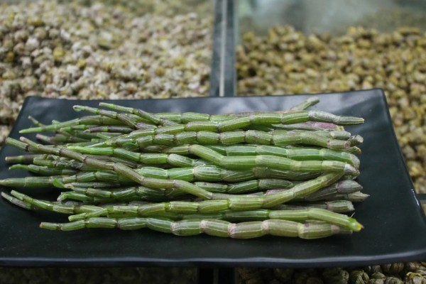 澳洲石斛的养殖方法，生长期需要有充足的光照