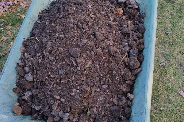 怎么在室内养殖红虫，每隔7-10天换一次水