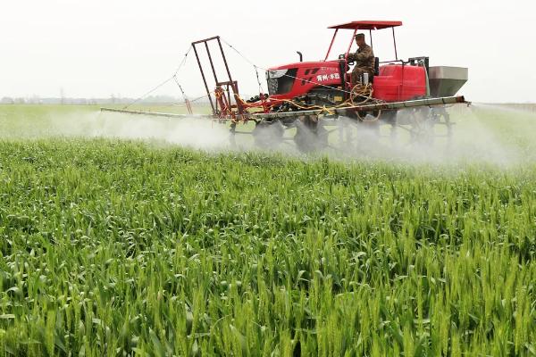 宿育1058小麦品种的特性，为中筋品种