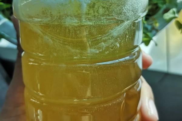 什么牌子的椴树蜜好，蜂蜜的品质与品牌无关