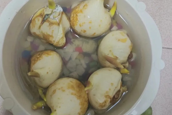 风信子花谢了怎么办,水培时经过修剪消毒后可重新养殖球茎