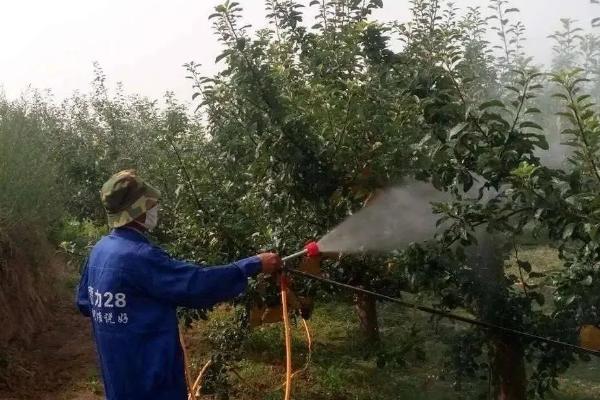 疏花疏果剂的简介，能够让花蕾或幼果脱落