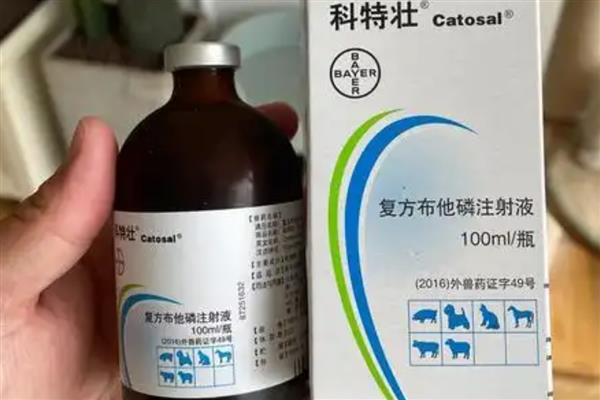 鸽子使用科特壮的方法，通常使用方式为兑水饮用