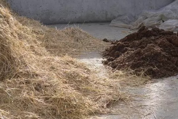 秸秆腐烂需要什么条件，需具备秸杆腐烂的微生物、合适的温度等