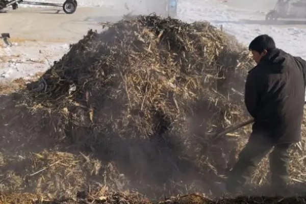 秸秆腐烂需要什么条件，需具备秸杆腐烂的微生物、合适的温度等
