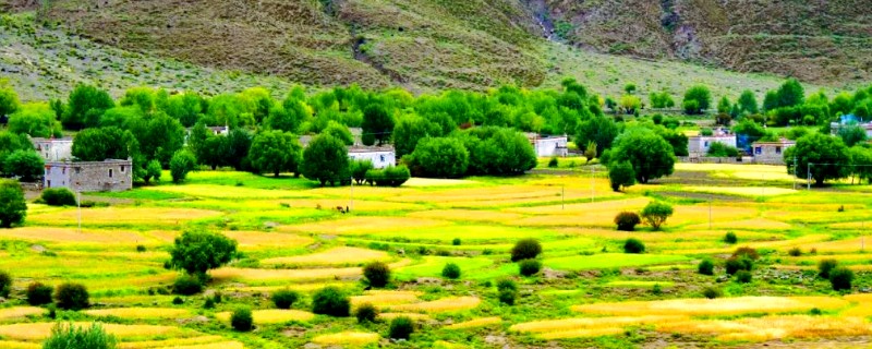 雅鲁藏布江谷地发展农业有哪些有利条件，该地光照充足