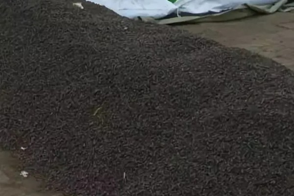 微生物有机肥有哪些作用，能大大减少农药的使用量