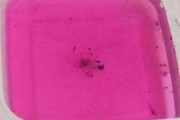 使用84消毒液有哪些注意事项，一定要用冷水稀释
