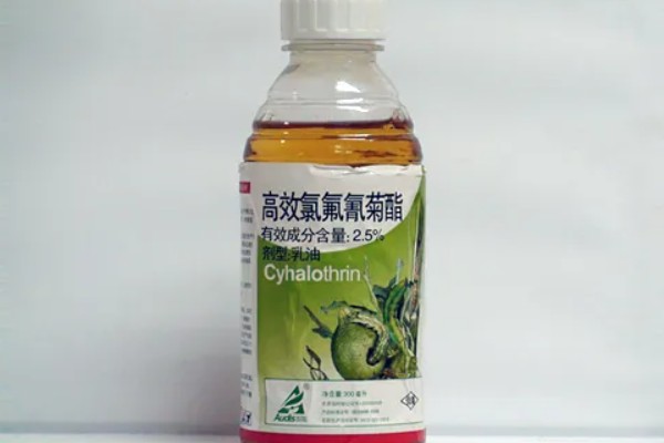 氯氟氰菊酯可以杀什么虫，可以灭杀害虫和螨类的虫子