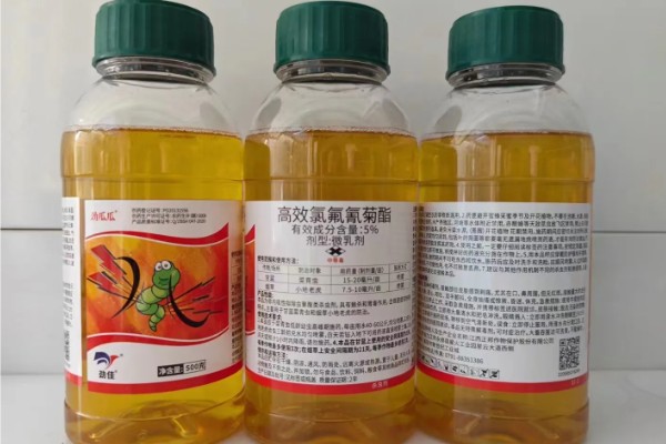 氯氟氰菊酯可以杀什么虫，可以灭杀害虫和螨类的虫子