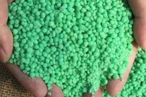 植物被冻死还有没有救,根系正常的话一般能存活