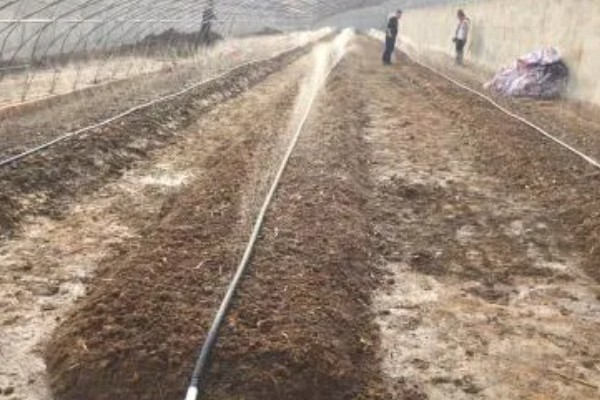 养殖蚯蚓的注意事项，适宜的生长温度为15-30度