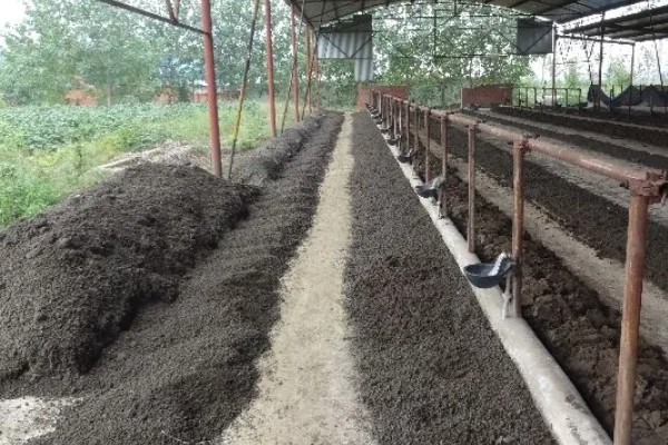 养殖蚯蚓的注意事项，适宜的生长温度为15-30度