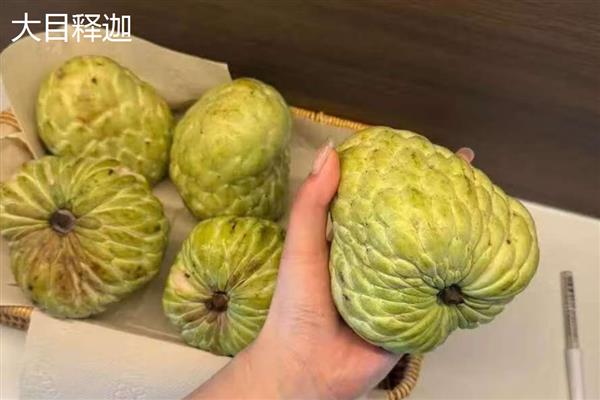 释迦的价格，每斤在30元左右