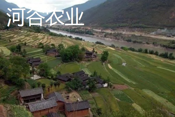 河谷农业与灌溉农业的区别，地理环境和水源利用方式均不同