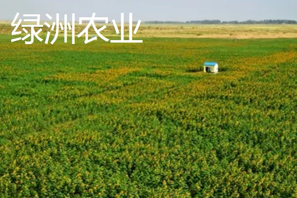 河谷农业与灌溉农业的区别，地理环境和水源利用方式均不同