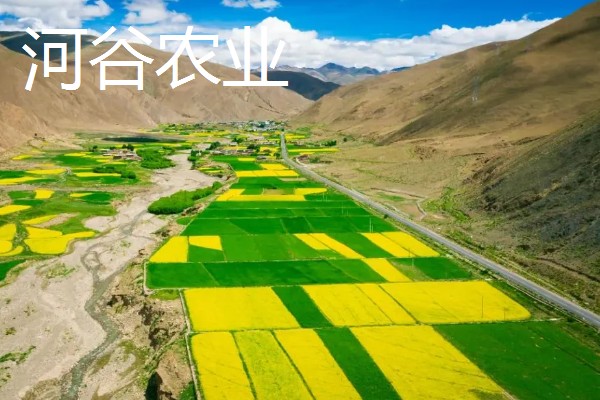 河谷农业与灌溉农业的区别，地理环境和水源利用方式均不同