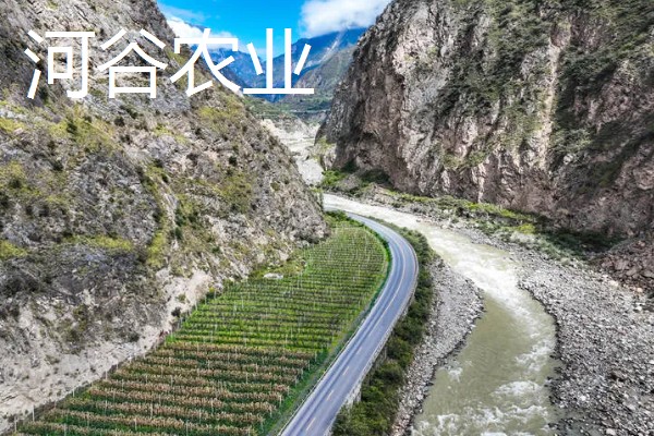 河谷农业与灌溉农业的区别，地理环境和水源利用方式均不同