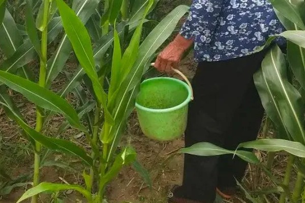 玉米肥料的配方，原料包括尿素、磷铵等
