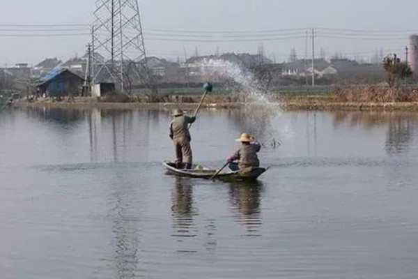 敌百杀虫剂鱼塘的用量,要严格按照说明书用药