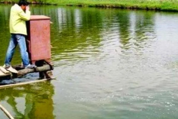 敌百杀虫剂鱼塘的用量,要严格按照说明书用药