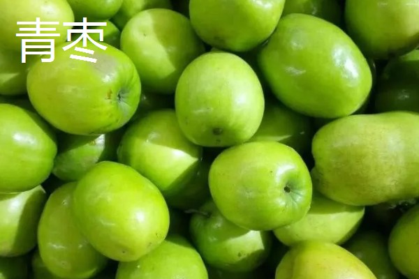 五月份上市的应季时令水果，有荔枝、莲雾、甜瓜等