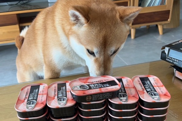 母狗绝育危险吗，有一定的风险