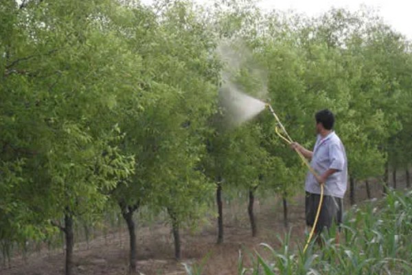 氰戊菊酯如何使用，针对不同作物害虫的使用方法不同