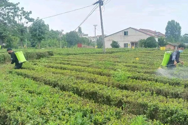 氰戊菊酯如何使用，针对不同作物害虫的使用方法不同