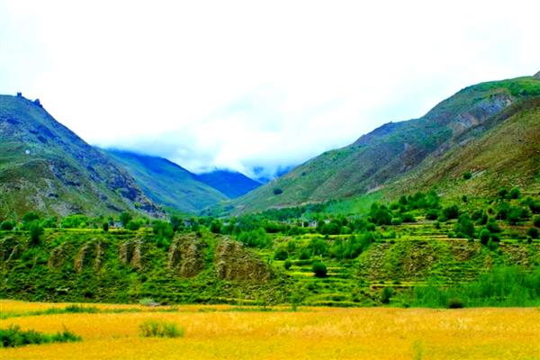 雅鲁藏布江谷地发展农业有哪些有利条件,该地光照充足