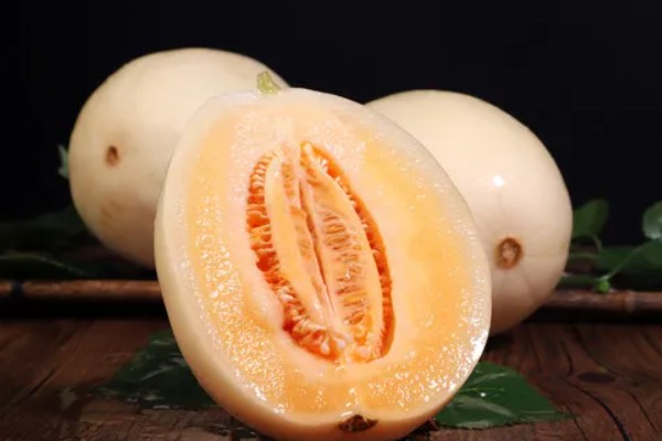 白山蜜一号的亩产量,通常可达到1500-2000公斤