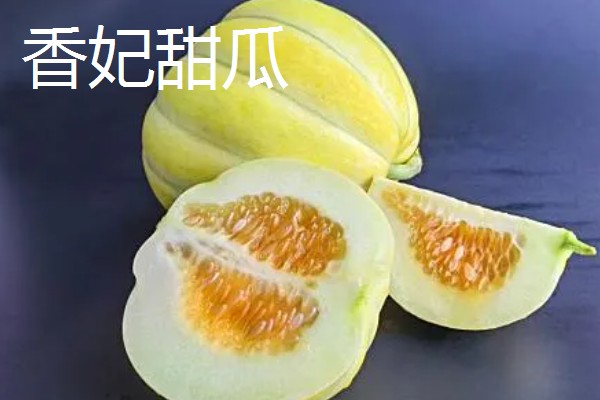 白山蜜一号的亩产量,通常可达到1500-2000公斤