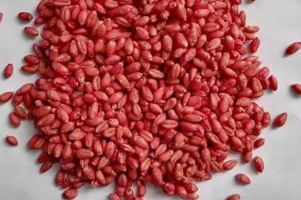 小麦拌种剂的分类，分为悬浮种衣剂、乳油等