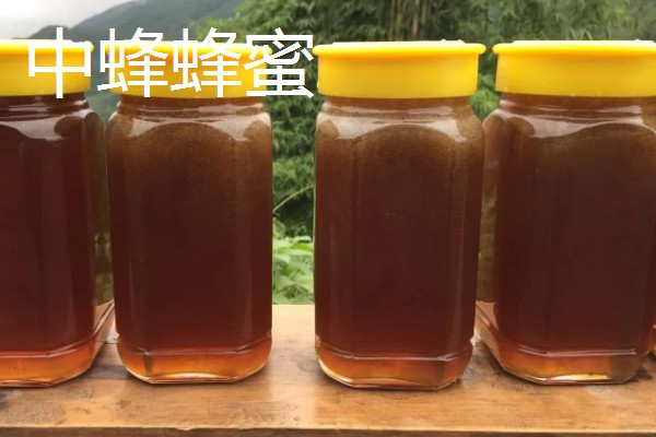 中蜂几脾过冬安全，因蜂种而异