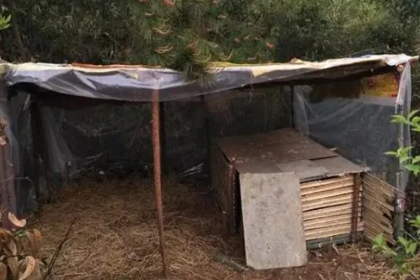 鸡窝的搭建方式，放置栅栏并固定后再覆盖棚顶