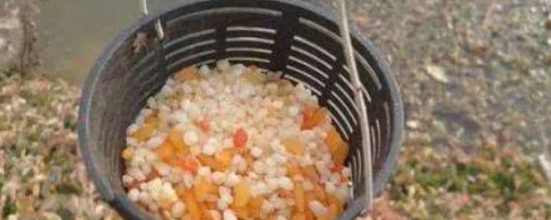 用玉米打窝有没有效果，香甜味很浓郁效果比较理想