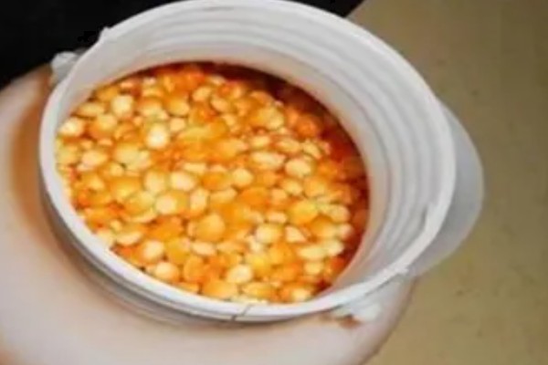 用玉米打窝有没有效果，香甜味很浓郁效果比较理想