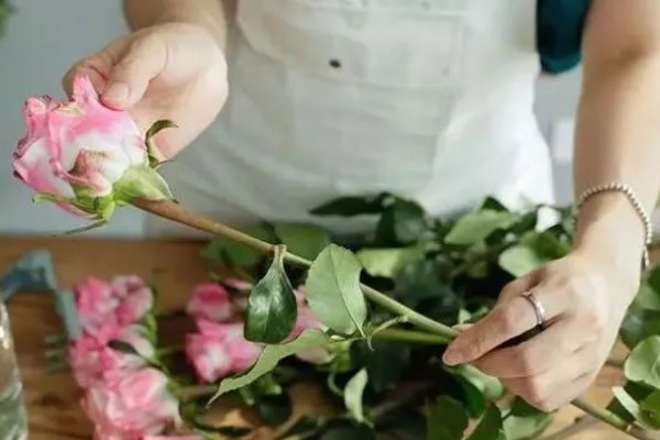玫瑰花枯萎了如何利用，可制作干花