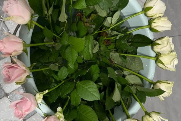 玫瑰花枯萎了如何利用，可制作干花