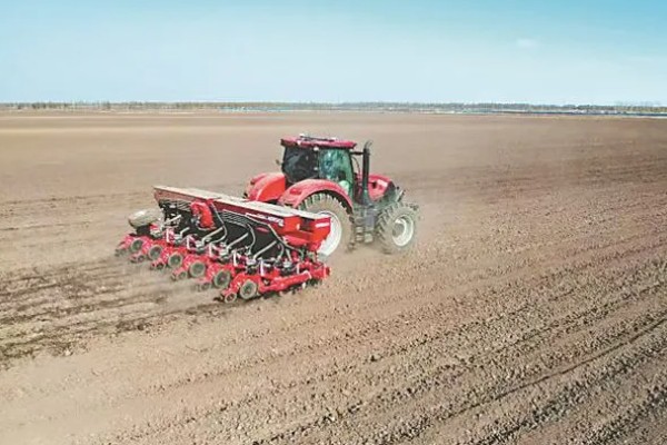 春玉米和晚稻栽培模式有什么好处,可保证种粮面积