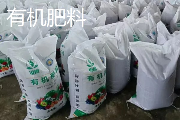 厨余垃圾如何制作有机肥料，先放在粉碎机中进行粉碎