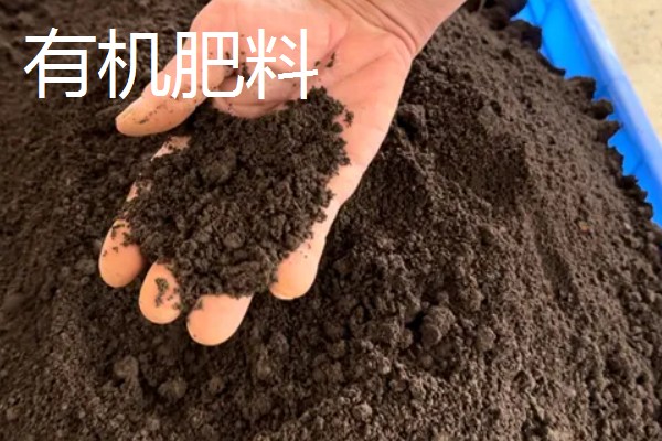 厨余垃圾如何制作有机肥料，先放在粉碎机中进行粉碎