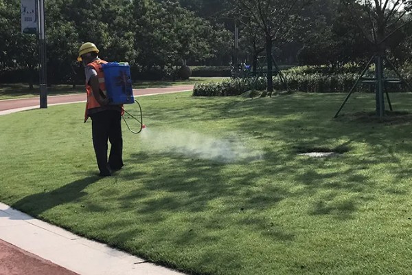 如何使用茎叶处理助剂，草坪种植或移栽前全面喷施