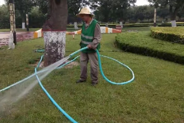如何使用茎叶处理助剂，草坪种植或移栽前全面喷施