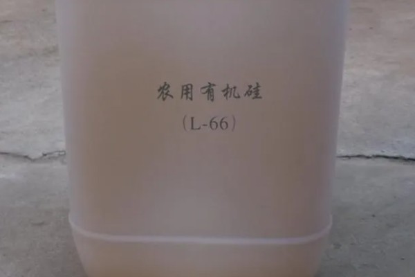 如何使用茎叶处理助剂，草坪种植或移栽前全面喷施