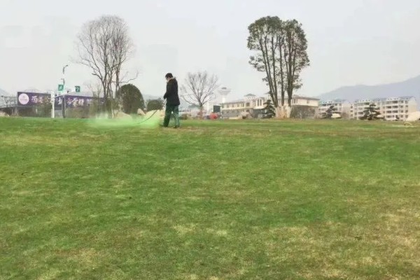 如何使用茎叶处理助剂，草坪种植或移栽前全面喷施