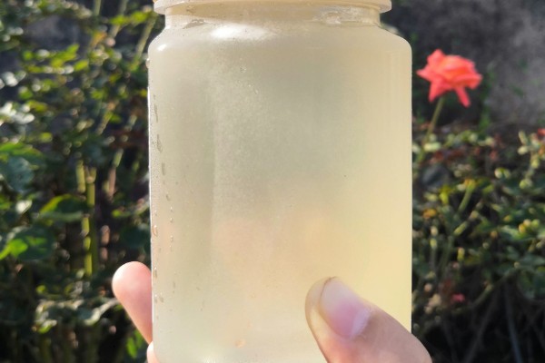 白色的蜂蜜是不是好蜜，一般都是好蜜